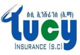 ENGINEERING OFFICER at Lucy Insurance S.C