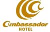 Sales Representative at Bole Ambassador Hotel