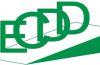 Training Officer at Ethiopian Center for Disability and Development (ECDD)